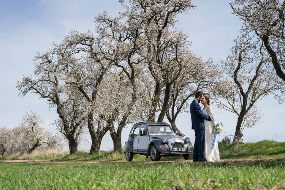 Reportaje de boda