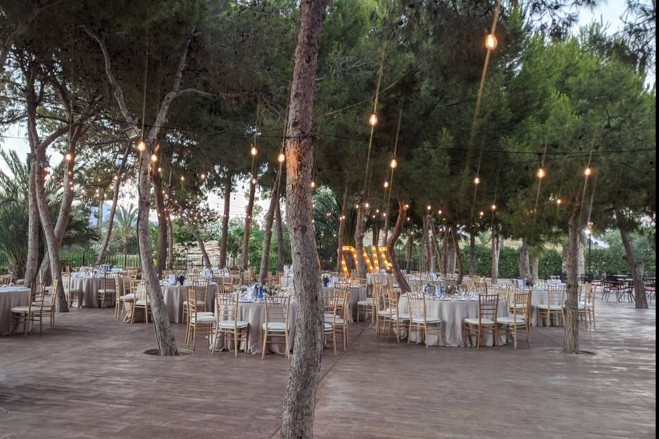 Banquete al aire libre con luces