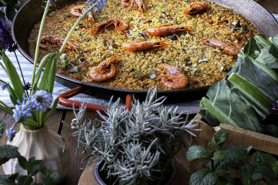 Nuestros arroces