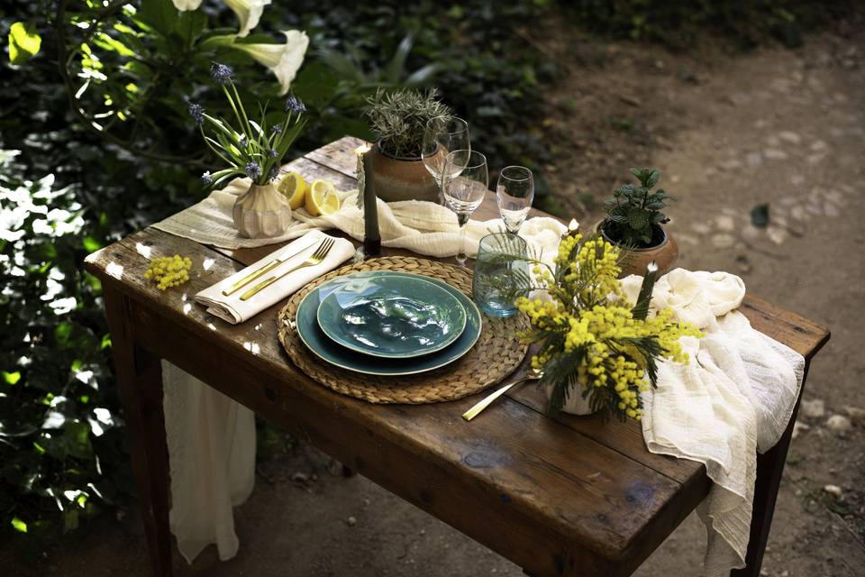 Mesa mediterranea