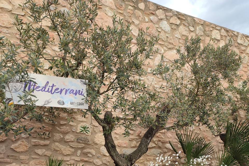 Parada Mediterranea