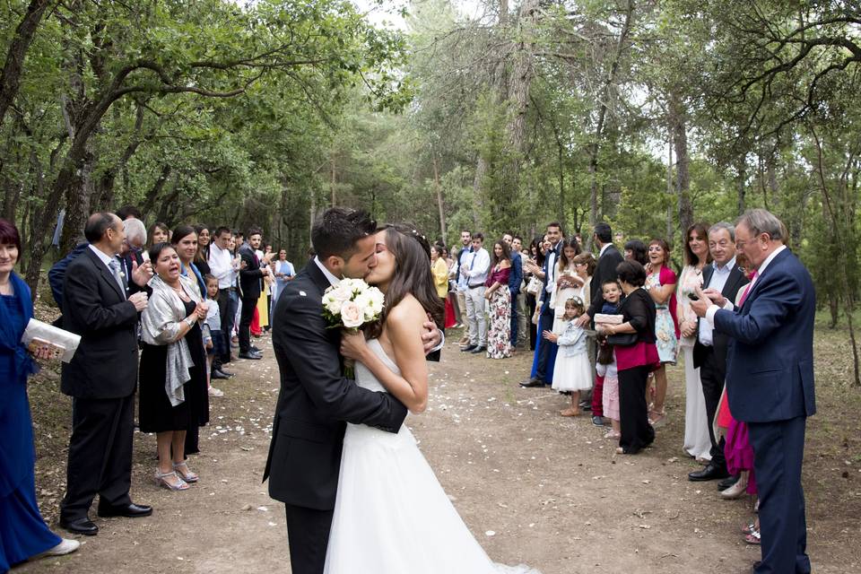 Beso de novios en el bosque