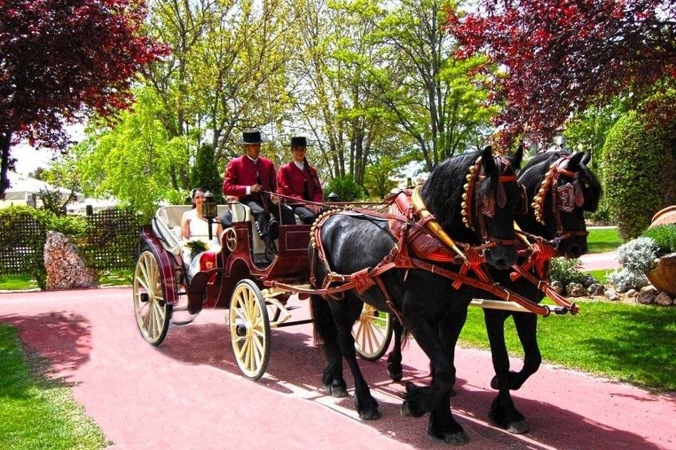 Jardín de Airunai