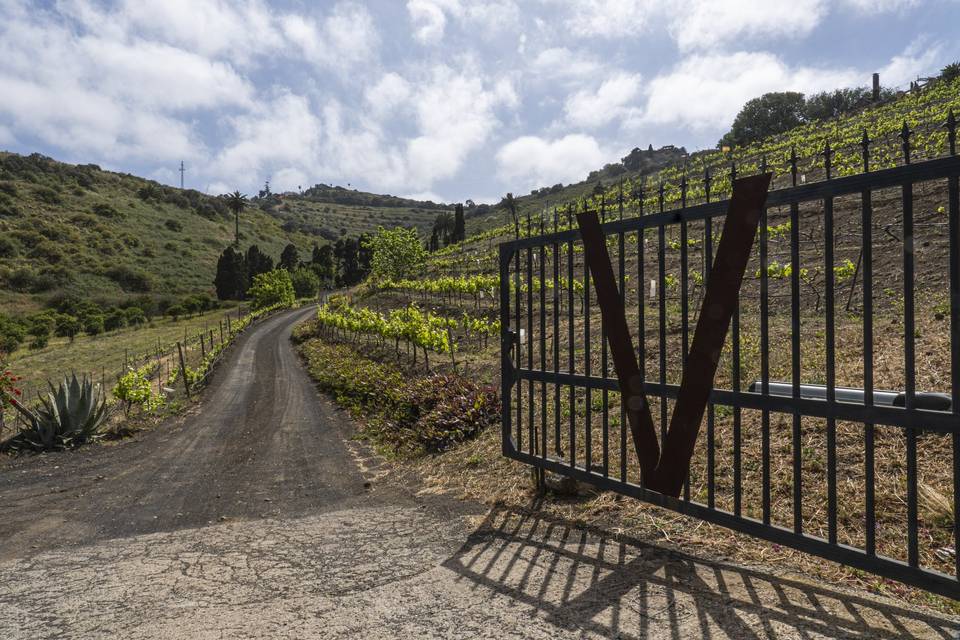 Entrada de la finca al restaurante