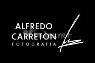 Alfredo Carretón Fotografía