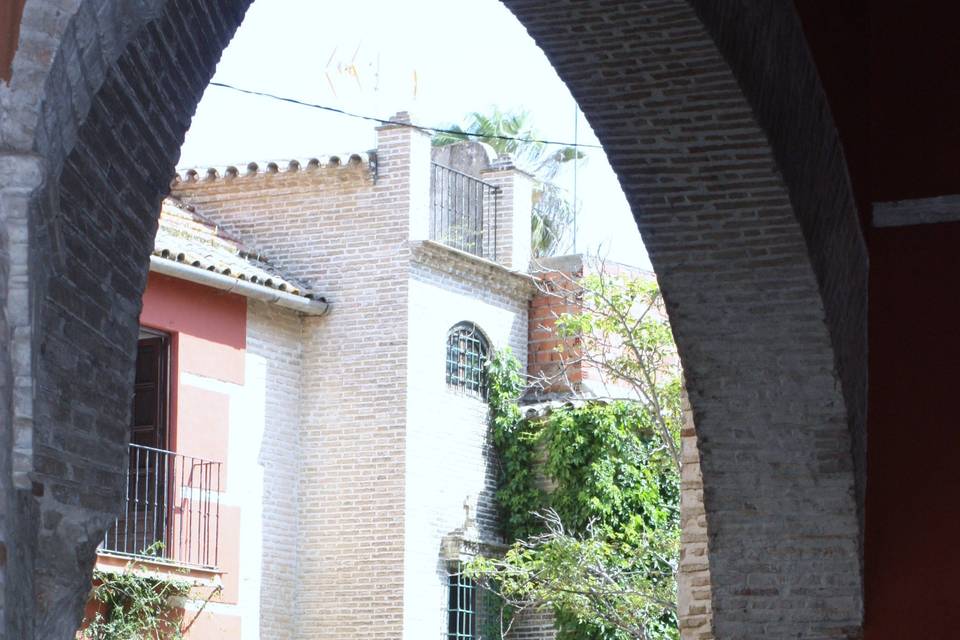 Arco de la entrada al patio del albero