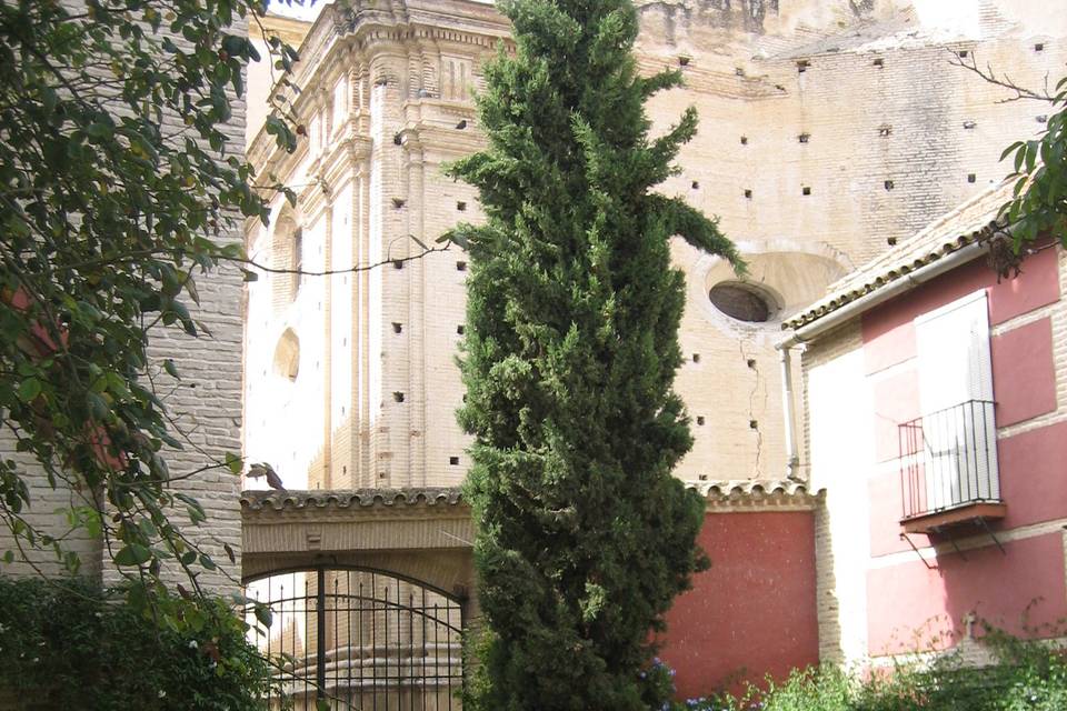 Patio del albero