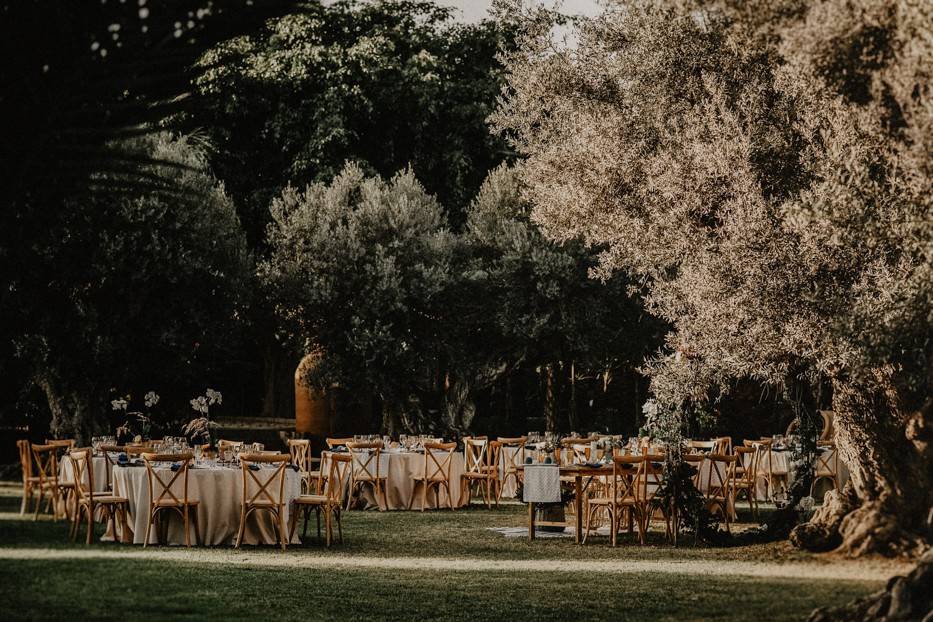 Elche boda Alfonso Mira