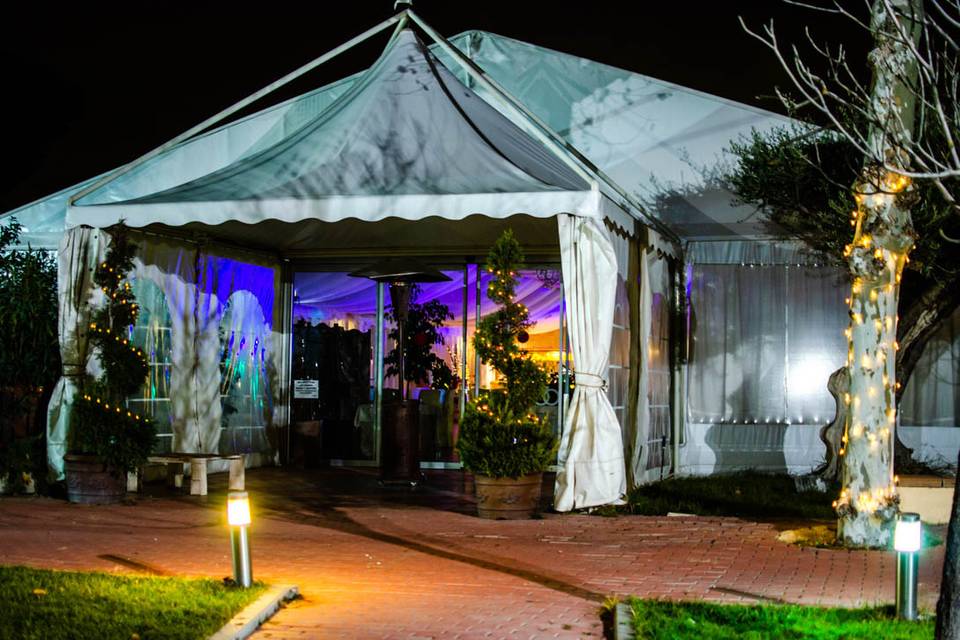 Carpa luces discoteca