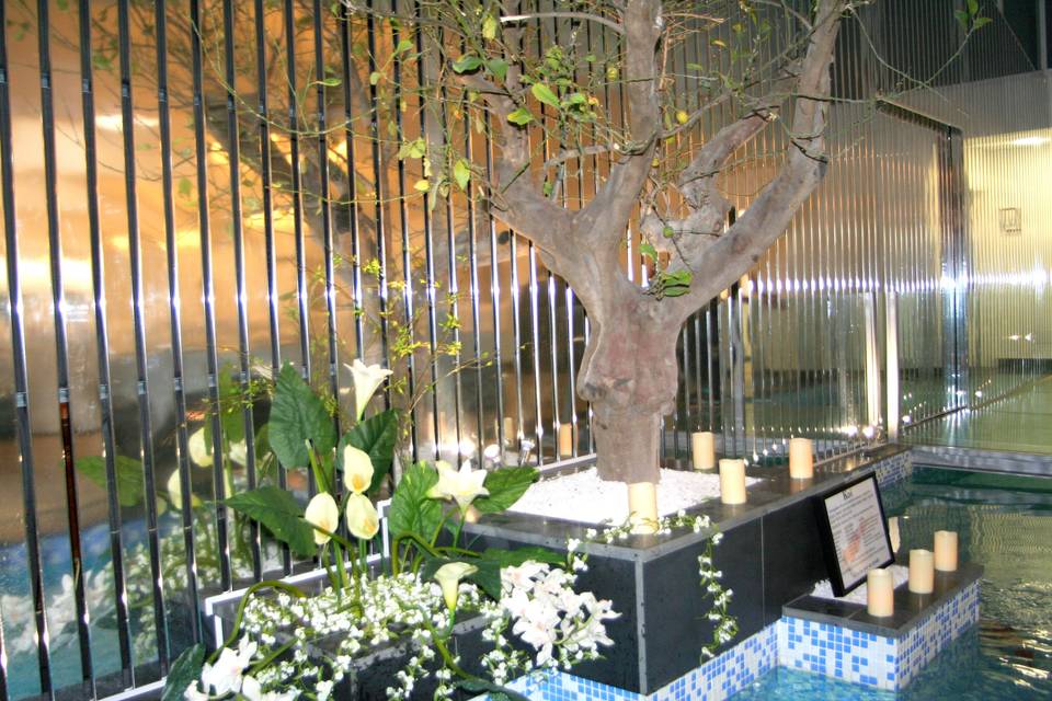 Hotel Labrador Garden