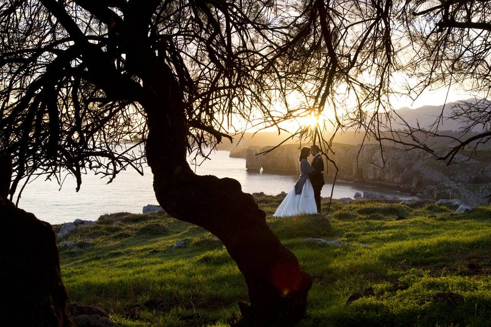 Trash the Dress