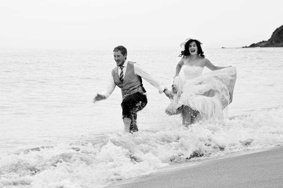 Trash the Dress