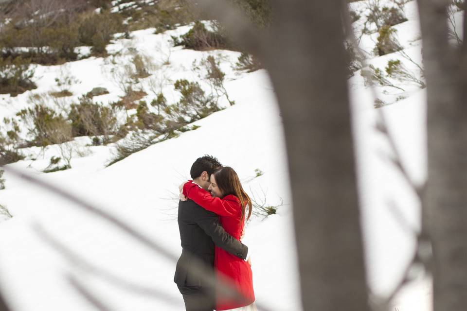 Trash the Dress