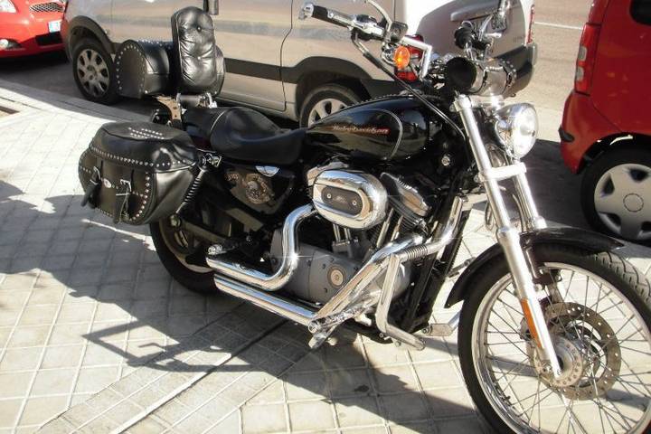 Softail Estandar 1999