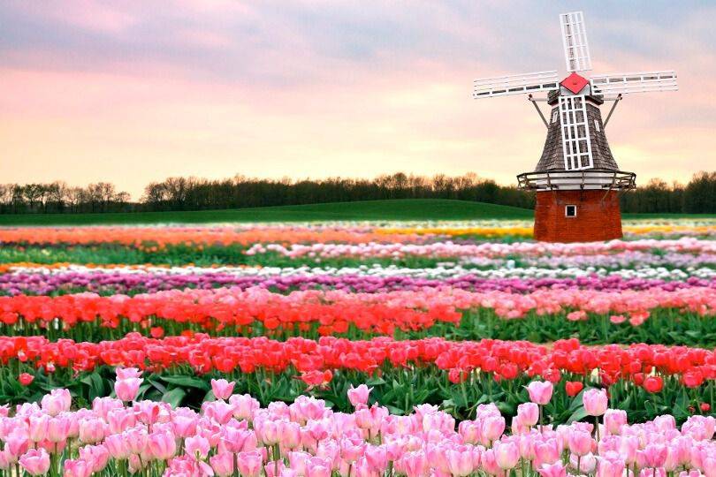 Holanda