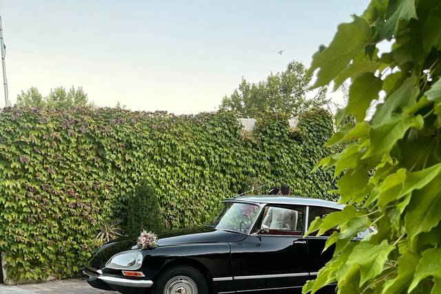 Con clase y elegancia