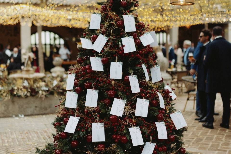 Boda Navidad /Zona Río