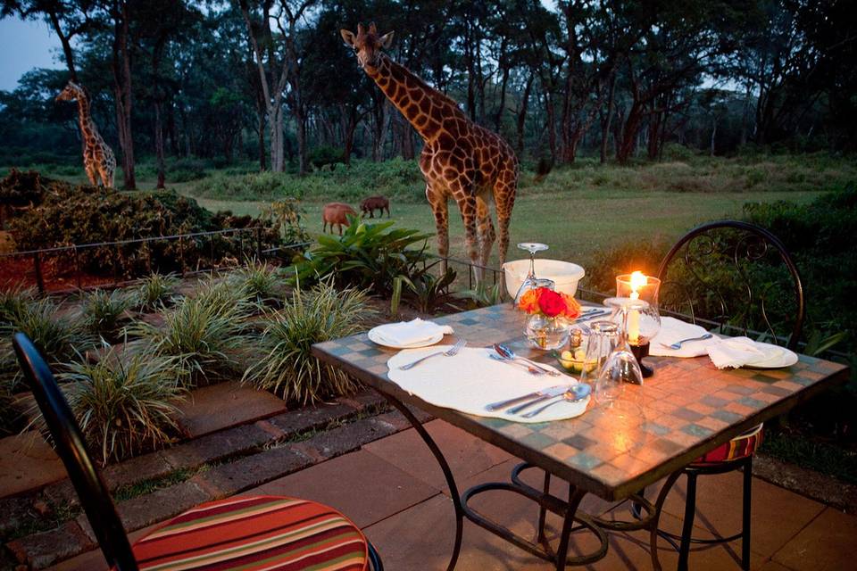 Cena con invitado distinguido