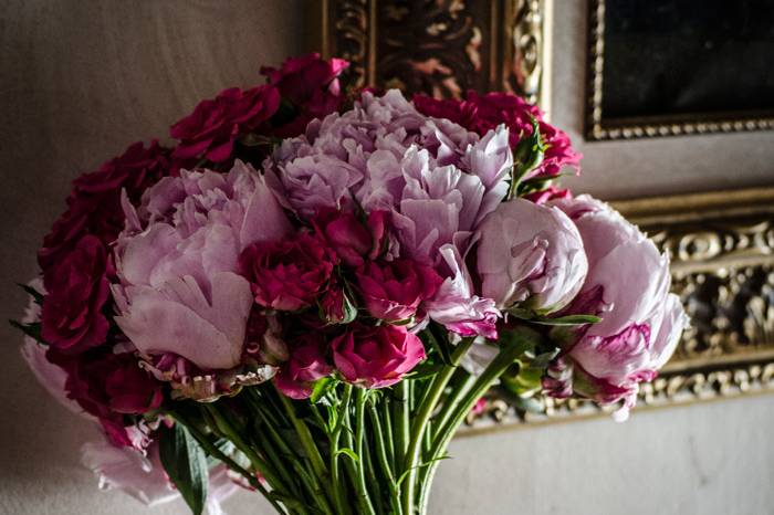 Peonias & rosas petiminie