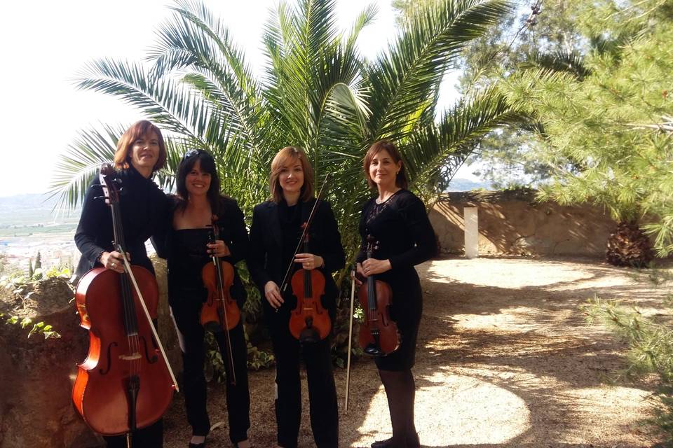 Cuarteto Mnemea