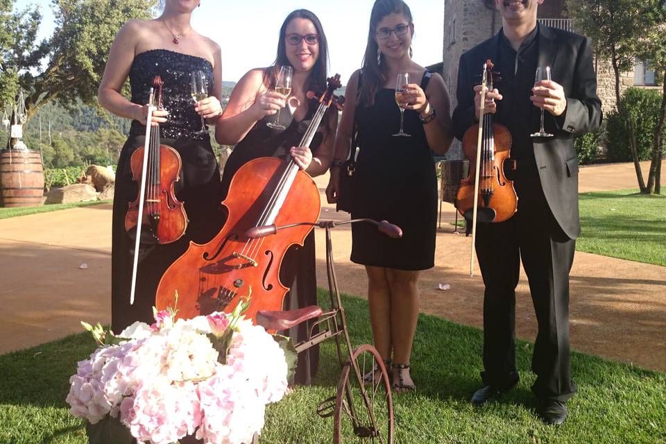 Cuarteto