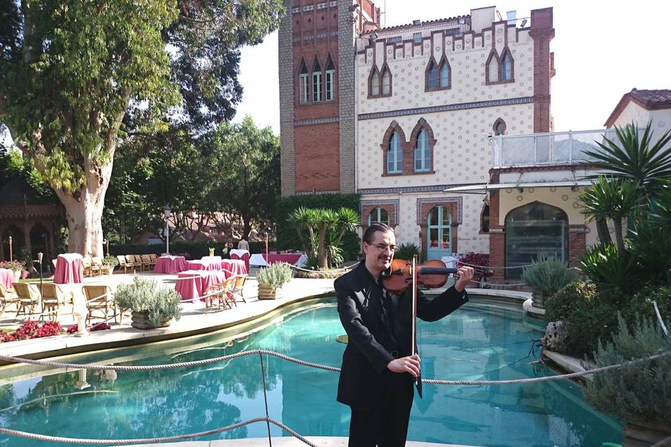 Violín solo en aperitivo