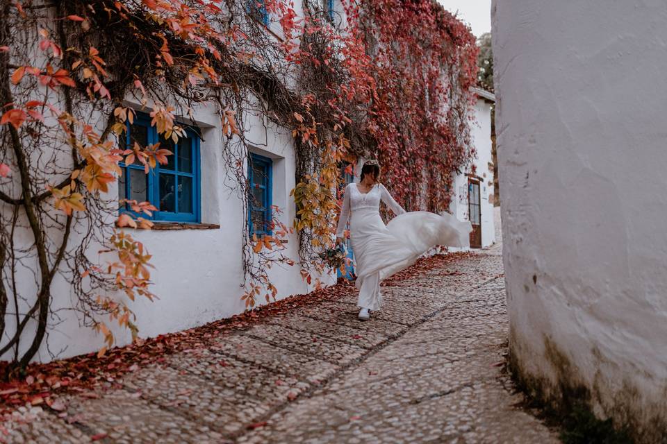 Félix Vélez Fotografía