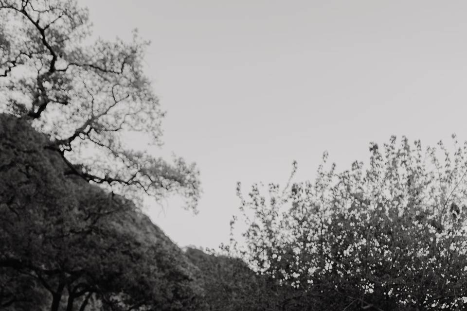 Félix vélez fotografía