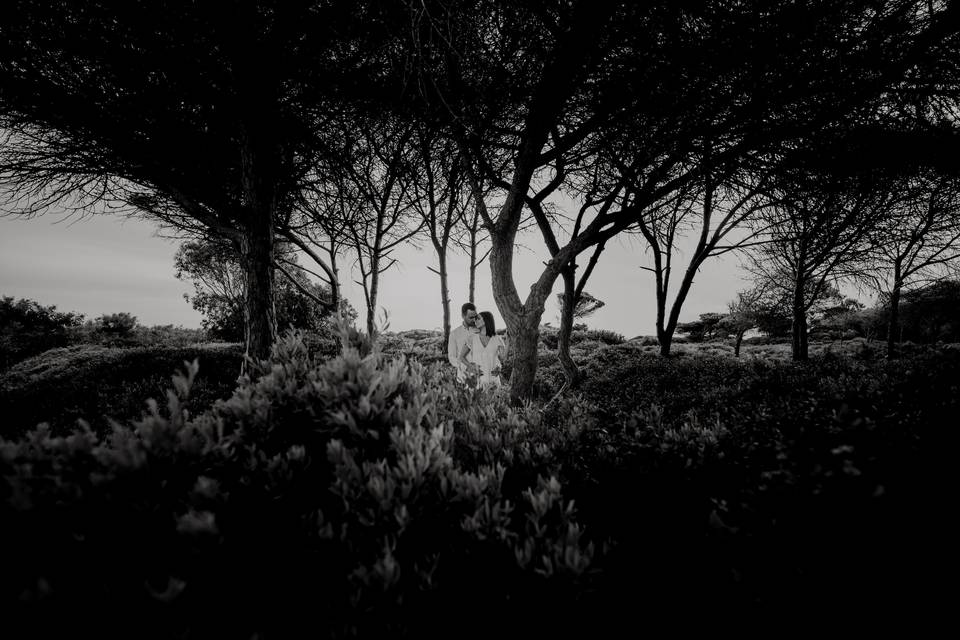 Félix vélez fotografía