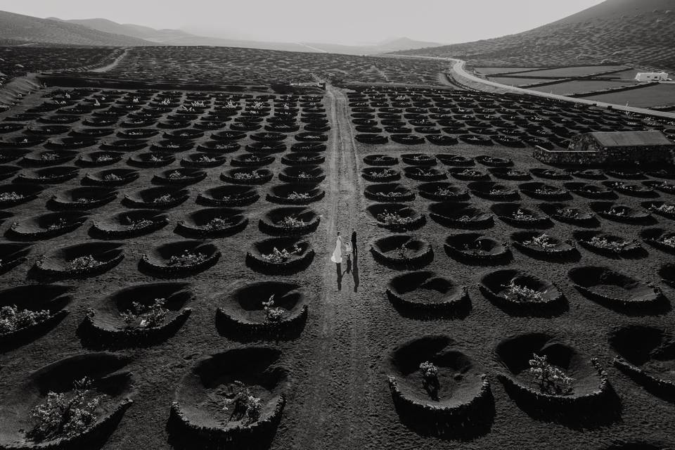 Félix vélez fotografía