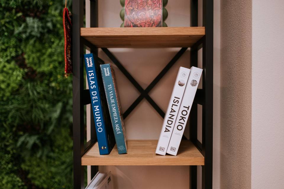 libros_guia_viajes_estanteria