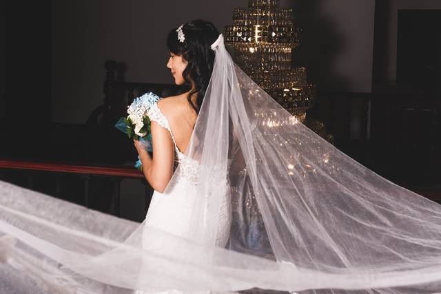 La novia y su velo