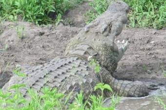 Naturaleza salvaje