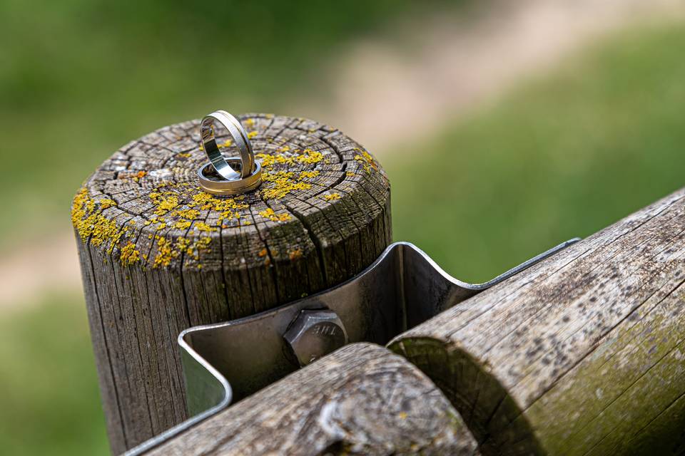 Anillos de boda