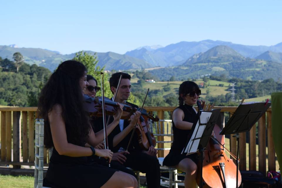 Cuarteto Lírice