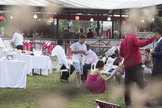 Carpa y montaje