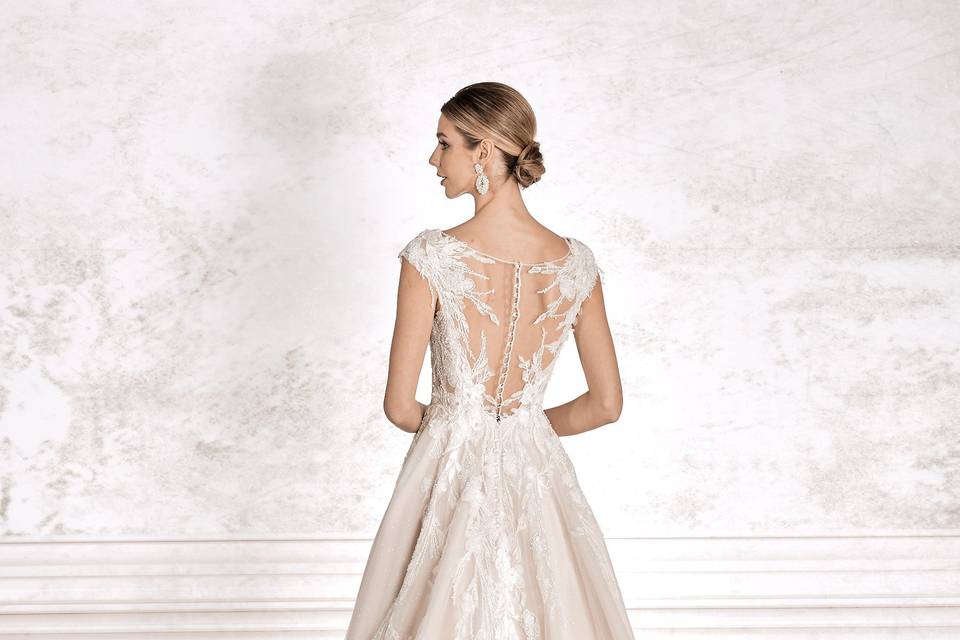 Elegancia y Estilo.