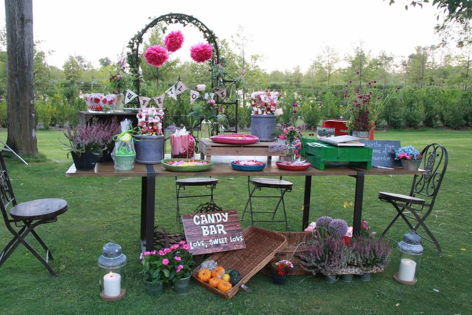 Centros florales y sitting