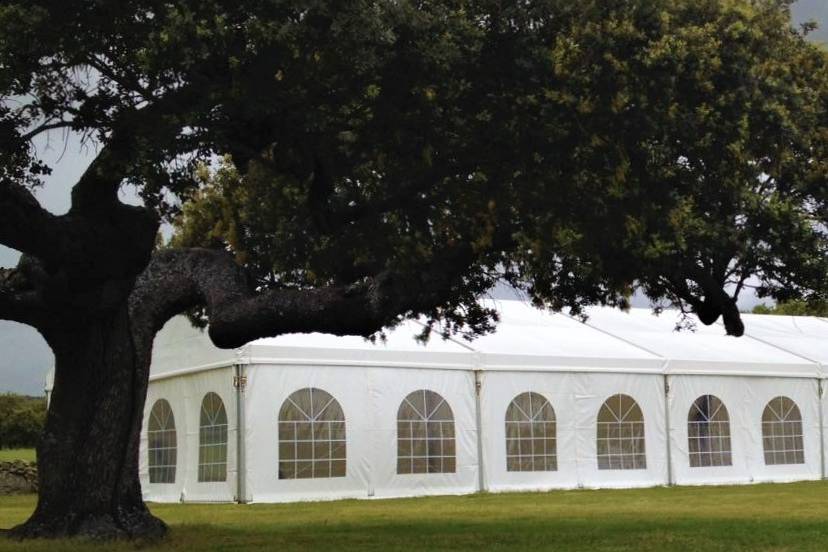 Carpa con ventana inglesa