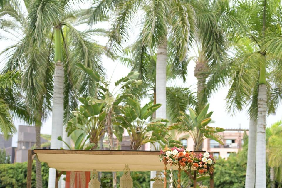 Costa meloneras novios invitad