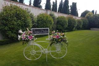 Floristería Las Camelias 3