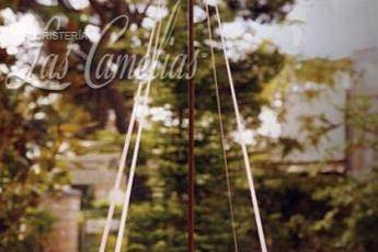 Floristería Las Camelias