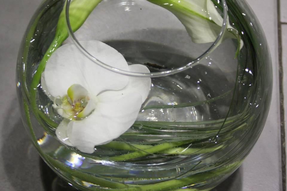 Floristería Las Camelias