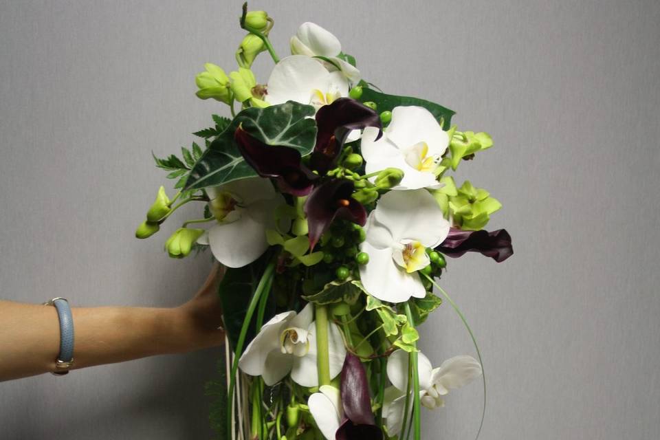 Floristería Las Camelias