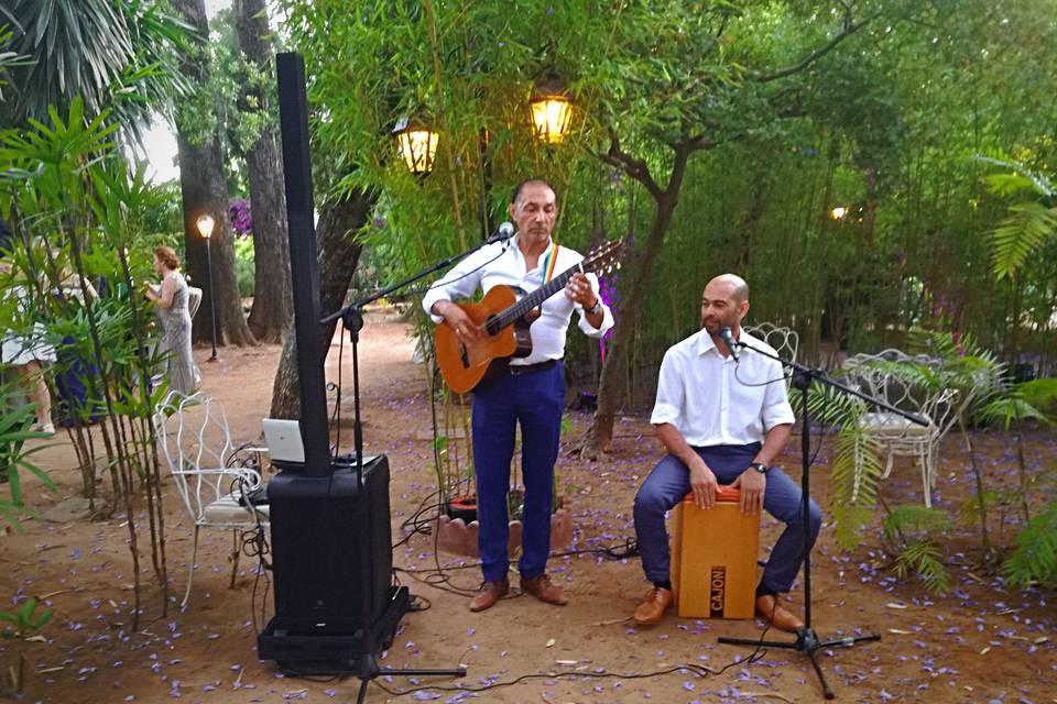 Música ambiental en directo