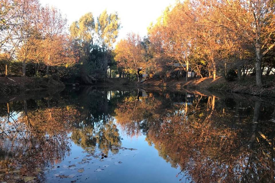 Estanque en otoño