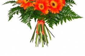 Regalar Flores