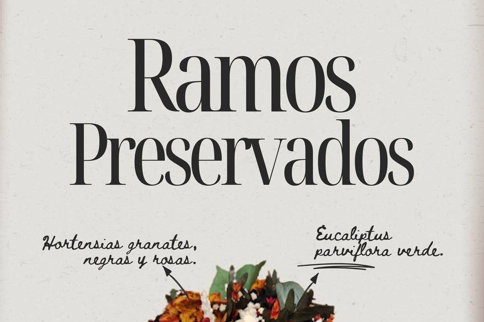 Ramos de flores preservadas