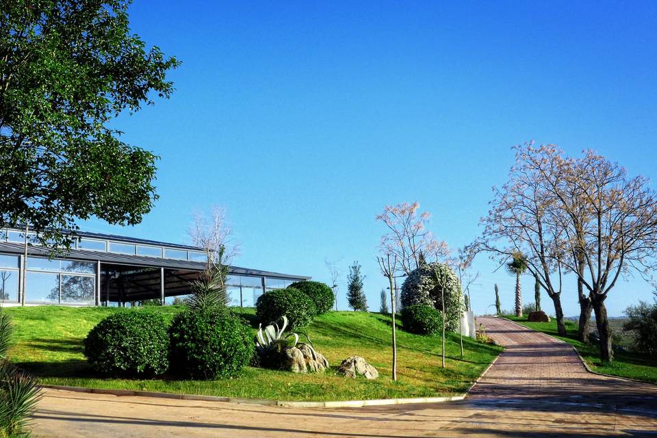 La Pérgola de Mirabueno