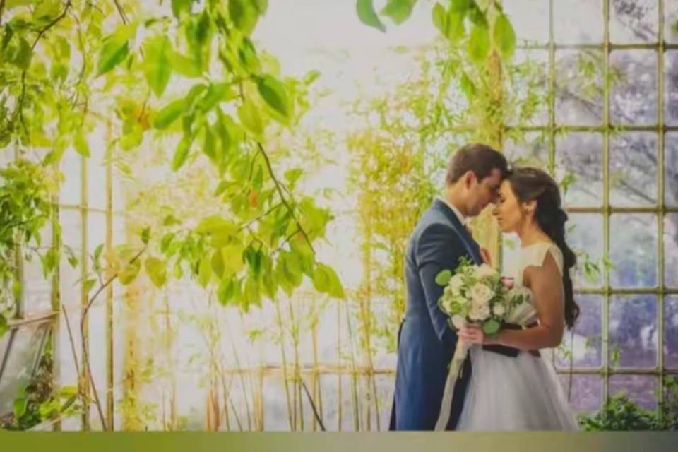 Bodas